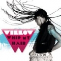 Whip My Hair by Willow