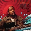A Waterlogged Soul Kitchen by taj weekes and adowa
