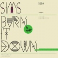Burn It Down [Explicit] by Sims