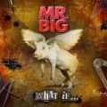 What If... by Mr. Big