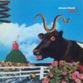 Holy Cow by Martini Ranch