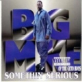 Somethin' Serious [Explicit] by Big Mike