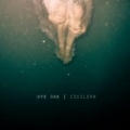 Civilian by Wye Oak