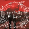 Fixin' To Die [+Digital Booklet] by G. Love