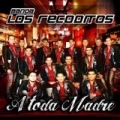 A Toda Madre by Banda Los Recoditos