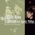My Love For Evermore - Single by Hillbilly Moon Explosion