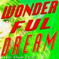 Wonderful Dream (Holidays Are Coming) by The True Star