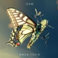 Isam by Amon Tobin