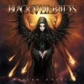 Fallen Angels by Black Veil Brides