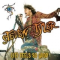 (It) Feels So Good by Steven Tyler