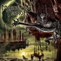 Perpetual Devastation [Explicit] by Merciless Terror