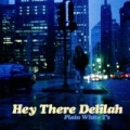 Hey There Delilah by Plain White T's
