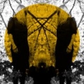 Feel It Break by Austra