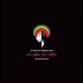 Una Parola Illumina (feat. Bunna & Raphael) by Zibba e Almalibre