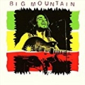 Big Mountain by Big Mountain