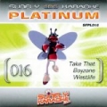 Platinum 16 Take That, Boyzone & Westlife by Sunfly Karaoke