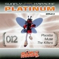 Platinum 12 Placebo, Muse & The Killers by Sunfly Karaoke