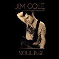 Soul In 2 by Jim Cole