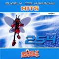 Sunfly Hits: Vol. 254 by Sunfly Karaoke