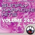 Sunfly Hits 243 by Sunfly Karaoke
