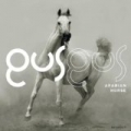 Arabian Horse by Gus Gus