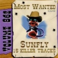 Most Wanted862 by Sunfly Karaoke