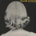 The Mistress by Yellow Ostrich
