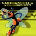 Sunfly Hits, Vol. 187 by Sunfly Karaoke