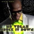 Bruck It Down - Single by Mr. Vegas