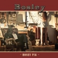 Honey Pig by Bosley