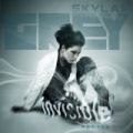 Invisible (Remixes) by Skylar Grey