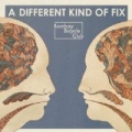A Different Kind Of Fix by Bombay Bicycle Club