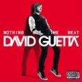 Nothing But The Beat by David Guetta