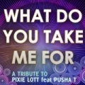 What Do You Take Me for (A Tribute To Pixie Lott Feat Pusha t - the Mixes) by The Tributers