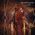 It Still Moves by My Morning Jacket