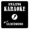 Best of Silbermond (Karaoke) by Amazing Karaoke