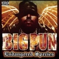 Endangered Species (clean) by Big Pun