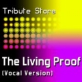 Mary J. Blige - The Living Proof (Vocal Version) by Tribute Stars