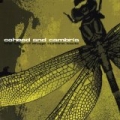 The Second Stage Turbine Blade (Re-Issue) by Coheed & Cambria