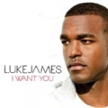 I Want You by Luke James