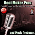 Platinum Loops and Samples for Beatmakers and Music Producers by Beat Maker Pros