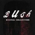 Bush Digital Collection by Bush