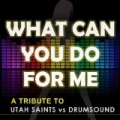 What Can You Do for Me (A Tribute to Utah Saints, Drumsound and Bassline Smith) by A Tributer