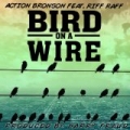 Bird On A Wire (Single) by Action Bronson Feat. Riff Raff