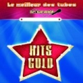 Hits Gold by Le Meilleur des Tubes en Karaoke