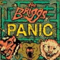 Panic! - Single by Briggs