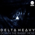 Down The Rabbit Hole by Delta Heavy