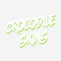 Crocodile Skins - Single by Spirit Animal