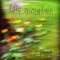Spring by Little Mountain