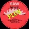 Sickness EP Plus by Maarten van der Vleuten Presents Gangrene